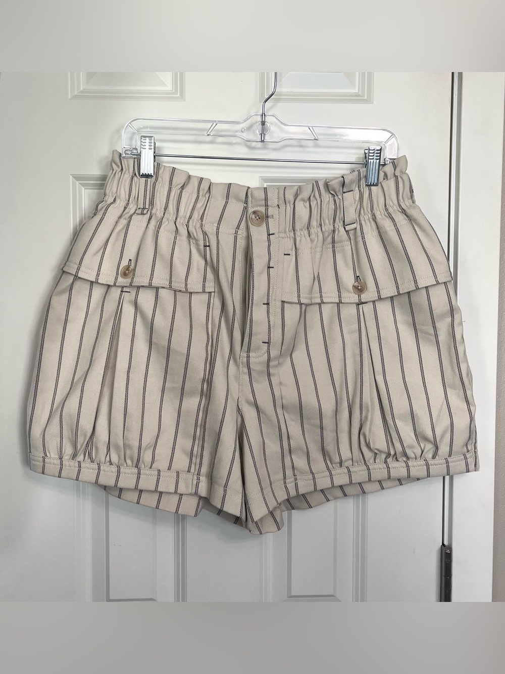 Free People Pinstriped High Waisted Shorts NWOT